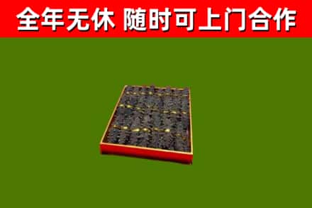 包河区回收海参